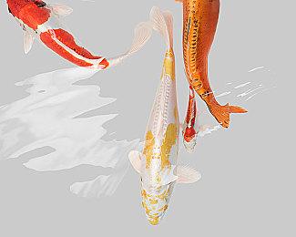 别等了！根本就没有什么新版《血源诅咒》